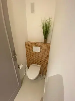 a small bathroom with a toilet and a plant at Renovated 2 bedrooms - Boulevard de la Croisette in Cannes