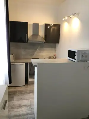 a kitchen with a counter top with a microwave at Studios des Congrès et Festivals in Cannes