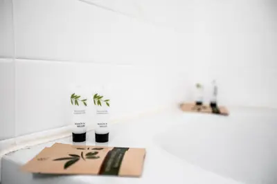 a bathroom with twoamboo plants on a counter at +++++ brand new flat 4 persons near Hotel Martinez, center and Palais des festivals +++++ in Cannes