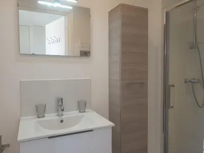 a bathroom with a sink and a shower at STUDIO LES ALGUES in Cannes