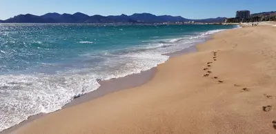 a beach with footprints in the sand and the ocean at Cannes Les Pins in Cannes