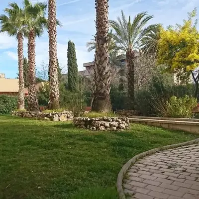 Nicolas 2