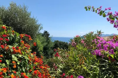 a garden of flowers with the ocean in the background at Sea views and beautiful pool in Cannes