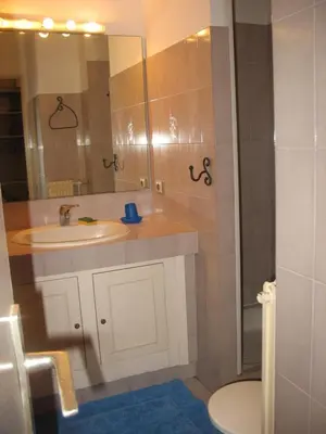 a bathroom with a sink and a mirror and a toilet at Appartement de charme wi-fi ,clim, garage jardin privés, piscine environnement arboré in Cannes