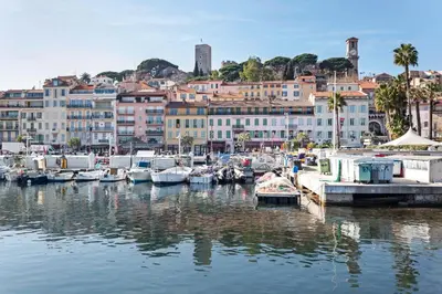 a group of boats docked in a harbor with buildings at Majestic Apartment in Cannes