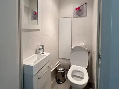 a small bathroom with a toilet and a sink at Cannes Centre, 3 Chambres, Plage et La Croisette à 50m in Cannes