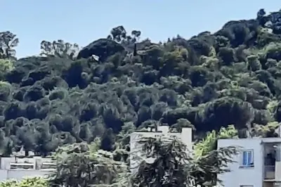 a mountain with trees and buildings in front of it at Studio Croix des Gardes Palais Plages in Cannes