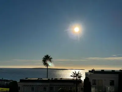 a view of the ocean with a palm tree and the moon at Un Studio de Charme Vue Mer & Piscine d'Exception in Cannes