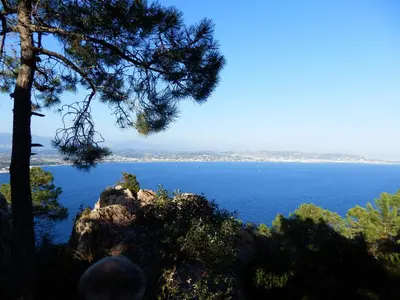 a view of a body of water with a tree at Esterel Terrasses, roof top front de mer, parking payant in Cannes