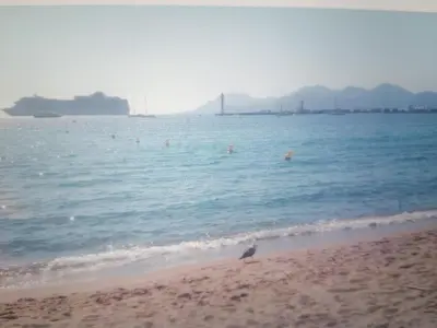 a bird standing on the beach with a cruise ship in the water at Lecerf apartment in Cannes