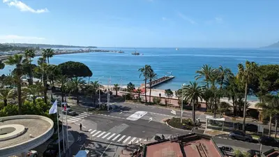 a view of a beach with palm trees and the ocean at Ref ILES - Palmes d'Or Properties in Cannes