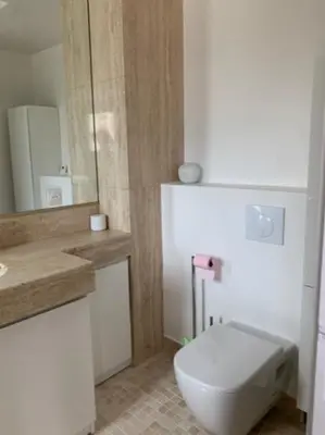 a bathroom with a toilet and a sink and a mirror at ROOFTOP CROISETTE/ALEXANDRE III in Cannes