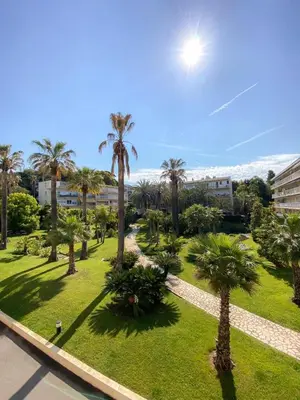 a park with palm trees on a sunny day at Superb Apartment In Cannes With Magnificent View ! in Cannes