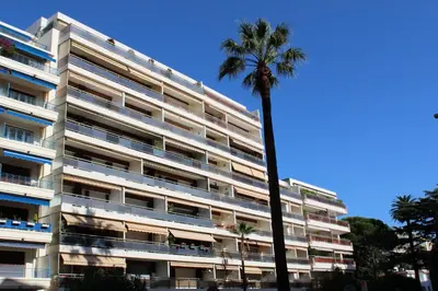 a palm tree in front of a white building at Studio luxueux et spacieux avec terrasse in Cannes