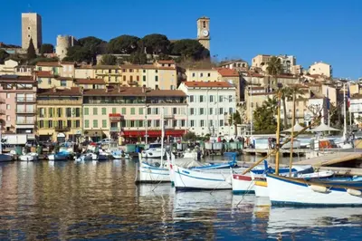 a group of boats docked in a harbor with buildings at Bel Appartement - HYPER CENTRE - 2 pièces in Cannes