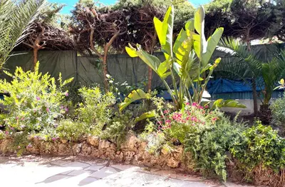 a garden with many different plants and flowers at VILLA ARVOR CANNES Appartement indépendant en bas de maison in Cannes