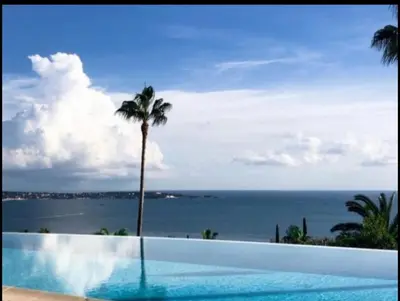 a swimming pool with a palm tree and the ocean at Magnifique appartement Cosy Cannes à 5mn du fameux palais du festival et ses plages in Cannes