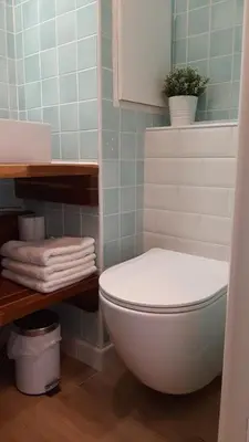 a bathroom with a toilet with a plant on top at Cannes & More in Cannes