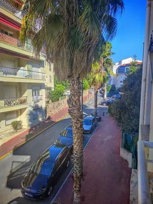 a car parked next to a palm tree on a street at Cannes Holiday suite à 2 pas du festival et plages in Cannes