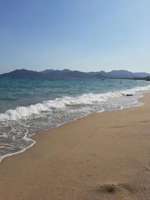 a beach with the ocean and the shoreline at Villa Maupassant 06 Cannes in Cannes
