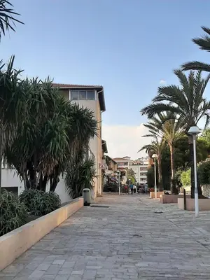 a cobblestone street with palm trees and a building at Villa Maupassant 06 Cannes in Cannes