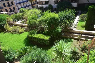 an overhead view of a garden with plants and trees at Studio Cannes Gray d'Albion in Cannes