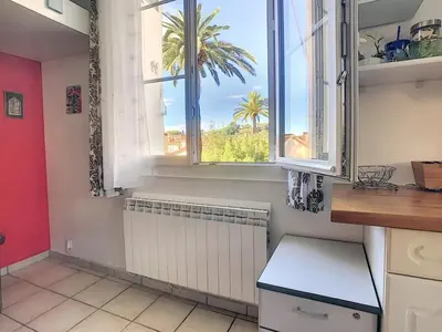 a kitchen with a window and a palm tree at Charmant appartement dans villa avec parc in Cannes