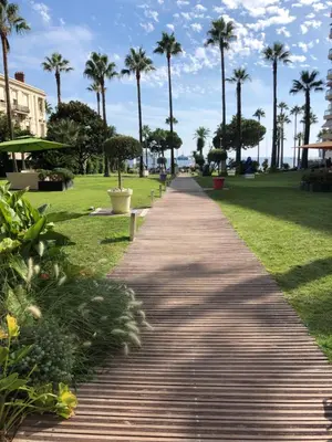 a walkway in a park with palm trees at Studio Cannes Grand Hôtel Ibis avec Terrasse in Cannes
