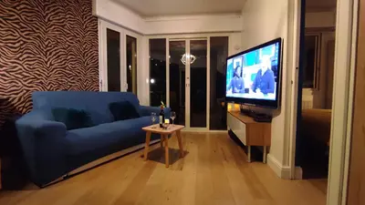a living room with a blue couch and a television at Résidence Chantemerle in Cannes