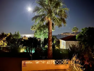 a palm tree in front of a house with the moon at Cannes Villa Francia in Cannes