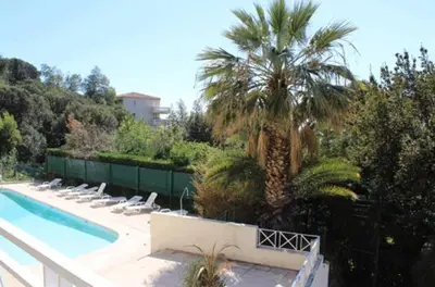a swimming pool with lounge chairs and a palm tree at Cannes Villa Francia in Cannes