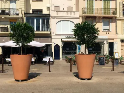 two large pots with trees in them in front of a building at Appartement confortable à Cannes avec climatisation - 53 m² in Cannes
