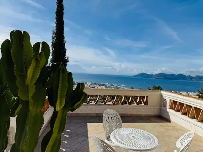 a patio with a table and chairs and a cactus at Somptuous exotic villa in Cannes in Cannes