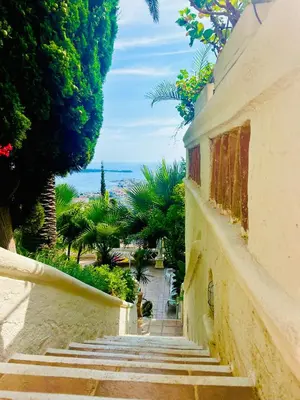 a stairway leading up to a building with palm trees at Somptuous exotic villa in Cannes in Cannes