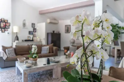 a living room with white flowers in a vase at MAGNIFIQUE VILLA 8 PERSONNES in Vallauris