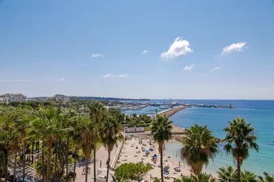 a view of a beach with palm trees and the ocean at On la Croisette XXL 1 bedroom with amazing sea view in Cannes