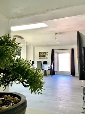 a living room with a potted plant and a table at Serbes Top Floor in Cannes
