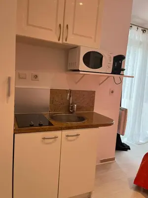 a kitchen with a sink and a microwave at STUDETTE Beausejour in Cannes
