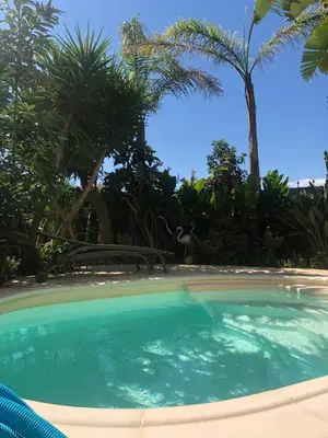 a swimming pool with palm trees in the background at STUDETTE Beausejour in Cannes