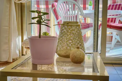 a table with a potted plant and a vase on it at Le Kate-500m Plage-Terrasse Verrière Côte d’Azur in Cannes