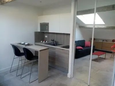 a kitchen and living room with a table and chairs at Studio cosy à côté du Palais des festivals in Cannes