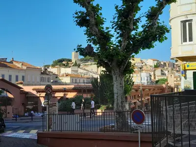 a tree in the middle of a city with buildings at FORVILLE APARTMENT Cannes in Cannes