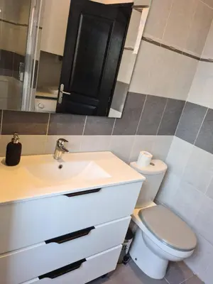 a bathroom with a toilet and a sink and a mirror at FORVILLE APARTMENT Cannes in Cannes