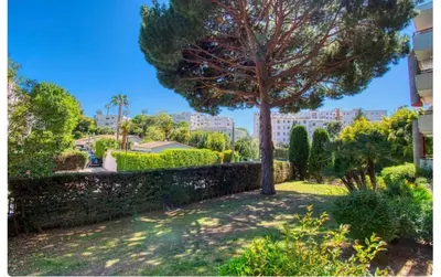 a tree in a park next to a building at Le Capri - Studio Wifi Californie in Cannes