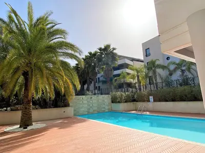 a palm tree and a swimming pool in front of a building at 2 pièces terrasse piscine Cannes Californie in Cannes