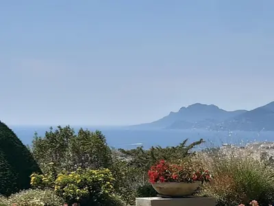 a pot of flowers on a ledge with a view of the ocean at Le Renoir in Cannes