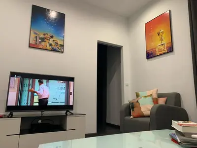 a living room with a flat screen tv and a couch at Appartement 2 pièces centre ville Cannes in Cannes