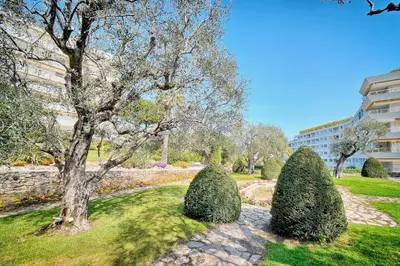 a row of bushes in a park with a tree at IMMOGROOM - Pool - Terrace - Parking - Air conditioning - NO WIFI in Cannes