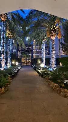 a pathway with palm trees with lights in a building at jardins croisette PRES CROISETTE in Cannes