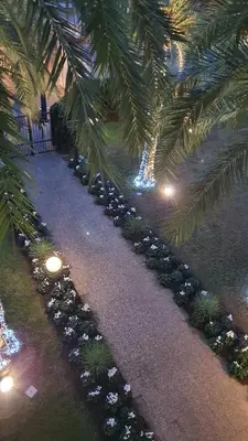a row of plants in a garden with lights at jardins croisette PRES CROISETTE in Cannes